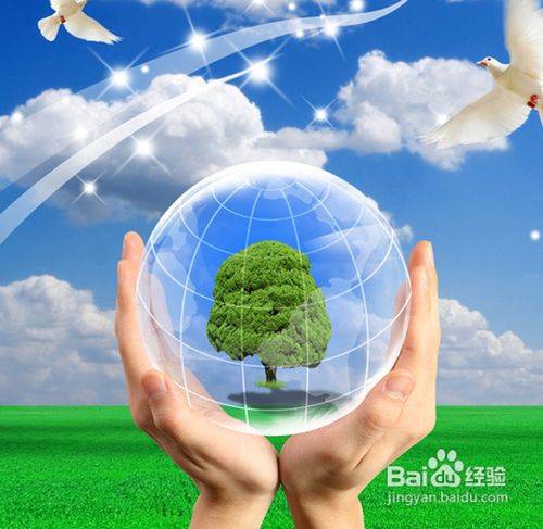 環保日常行為規范有哪些