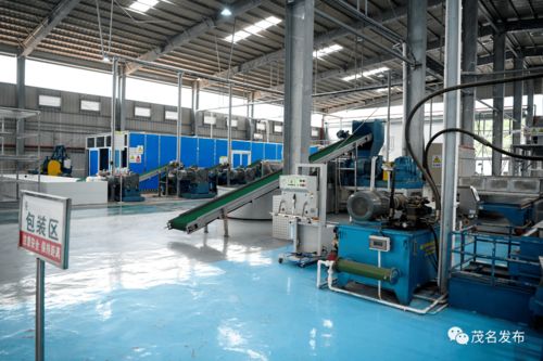 莊悅群調研茂名農(nóng)墾工作 推動墾地在新發(fā)展階段深度融合發(fā)展