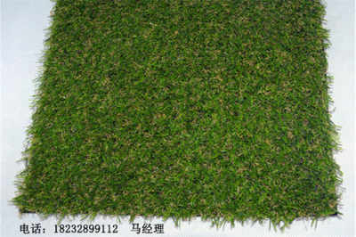 新聞 德州武城人造草坪單價無毒環保 廠家