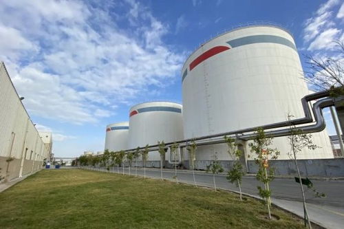 安琪酵母海外工廠 扎根當?shù)兀仓G色未來